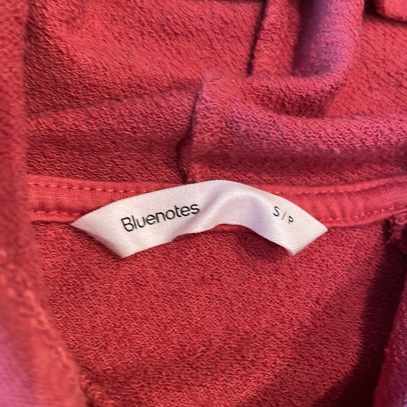 Bluenotes hoodie - Picture 4 of 5